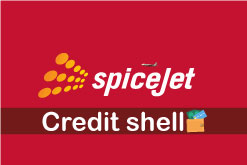 Redeem your Spice jet credit shell.